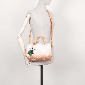 LOUIS VUITTON Speedy 25 By The Pool Rose | Luna Bags