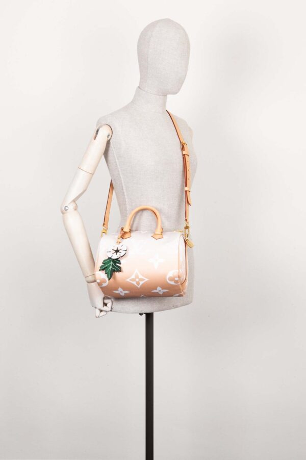 LOUIS VUITTON Speedy 25 By The Pool Rose | Luna Bags