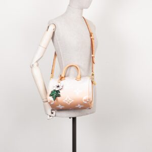 LOUIS VUITTON Speedy 25 By The Pool Rose | Luna Bags