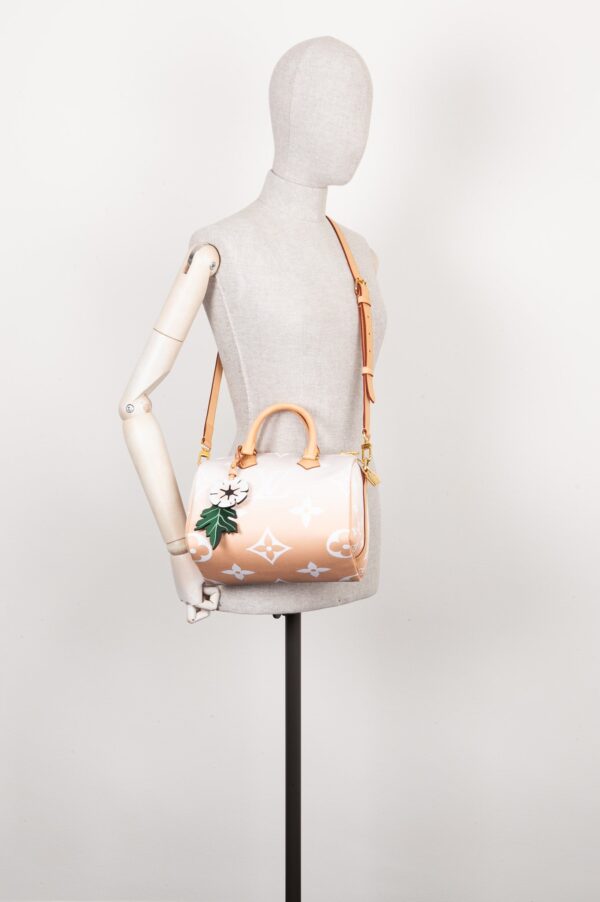 LOUIS VUITTON Speedy 25 By The Pool Rose | Luna Bags