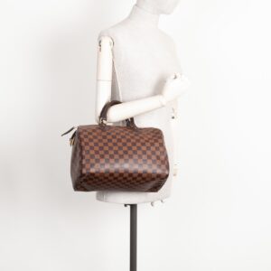LOUIS VUITTON Speedy 30 Damier Ebene | Luna Bags