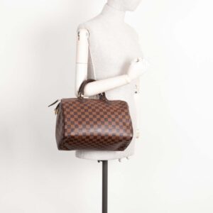 LOUIS VUITTON Speedy 30 Damier Ebene | Luna Bags