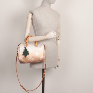 LOUIS VUITTON Speedy 25 By The Pool | Luna Bags