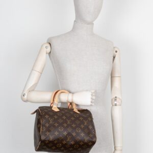 LOUIS VUITTON Speedy 25 MNG Canvas | Luna Bags