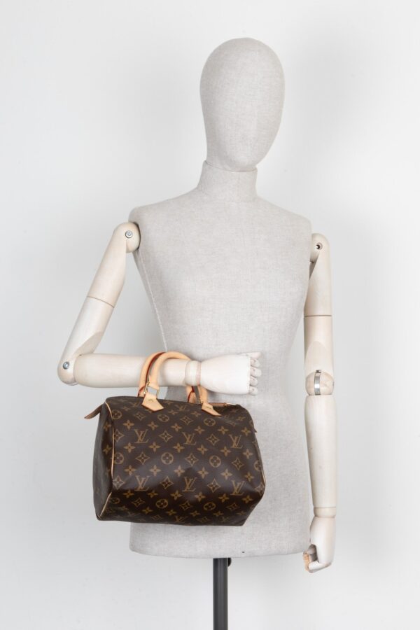 LOUIS VUITTON Speedy 25 MNG Canvas | Luna Bags
