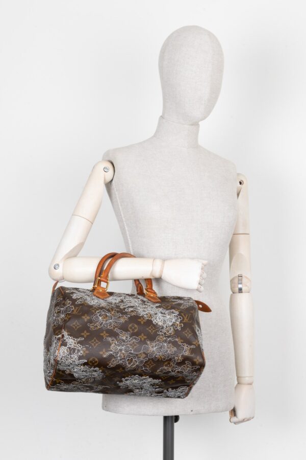 LOUIS VUITTON Dentelle Speedy 30 MNG Canvas | Luna Bags