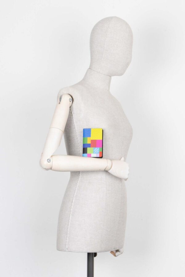 LOUIS VUITTON Pocket Organizer Damier Graphite 3D Multicolor | Luna Bags