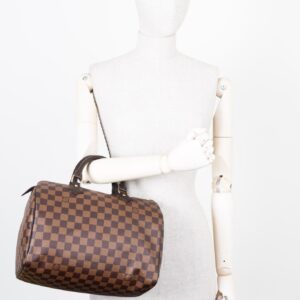 LOUIS VUITTON Speedy 30 Damier Ebene | Luna Bags
