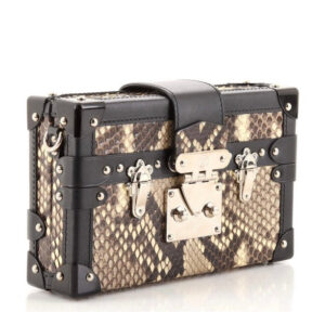 LOUIS VUITTON PYTHON SKIN MALLE TRUNK | Luna Bags