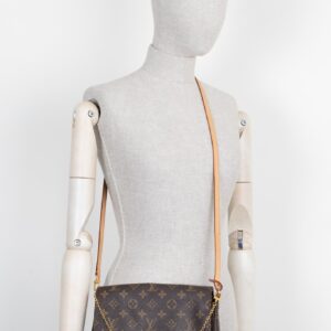LOUIS VUITTON Favorite MM MNG Canvas | Luna Bags