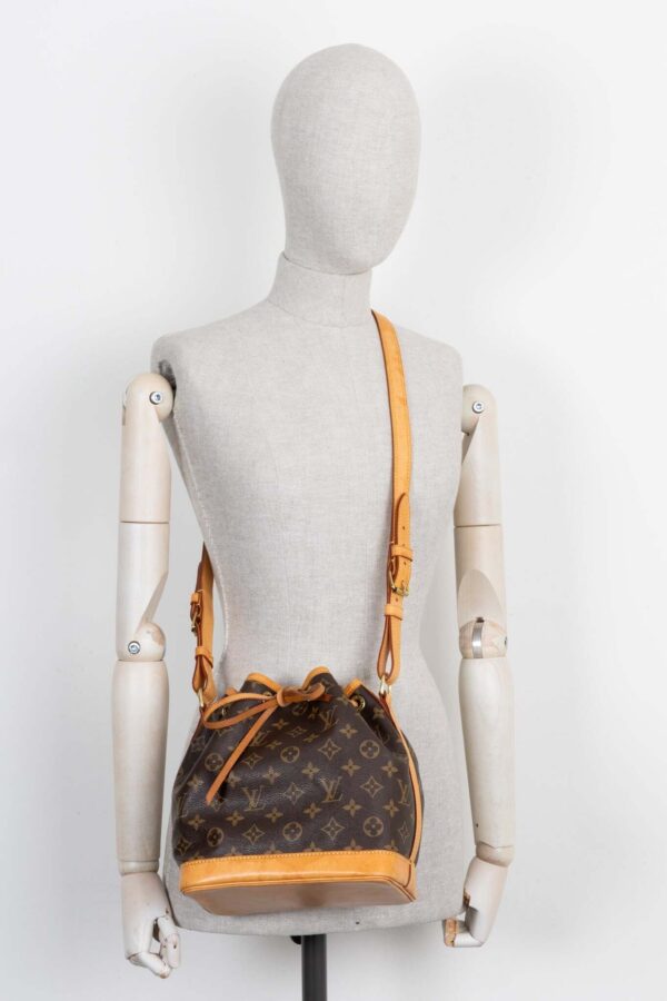 LOUIS VUITTON Noé BB MNG Canvas | Luna Bags