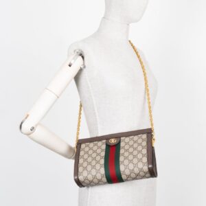 GUCCI Ophidia Chain Shoulder Bag GG Supreme | Luna Bags