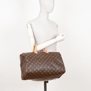 LOUIS VUITTON Speedy 40 MNG | Luna Bags