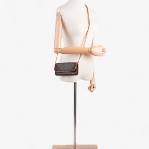 Louis Vuitton Pochette Twin Monogram Coated Canvas PM | Luna Bags