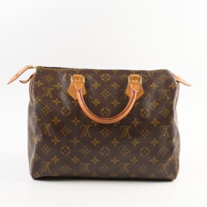 Louis Vuitton Speedy 30 Monogram | Luna Bags