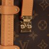 Louis Vuitton Side Trunk Monogram Canvas | Luna Bags - Image 7