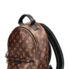 LOUIS VUITTON Palm Springs PM Backpack Canvas MNG | Luna Bags - Image 6