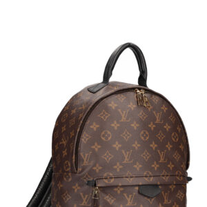 LOUIS VUITTON Palm Springs MM Backpack MNG | Luna Bags