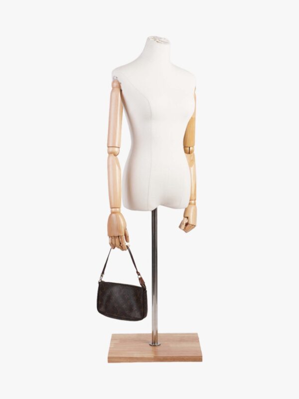 Louis Vuitton Pochette Accessoires Monogram Coated Canvas | Luna Bags