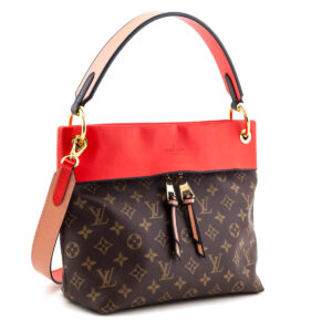 Louis Vuitton Monogram Kabuki Tuileries Besace Bag | Luna Bags