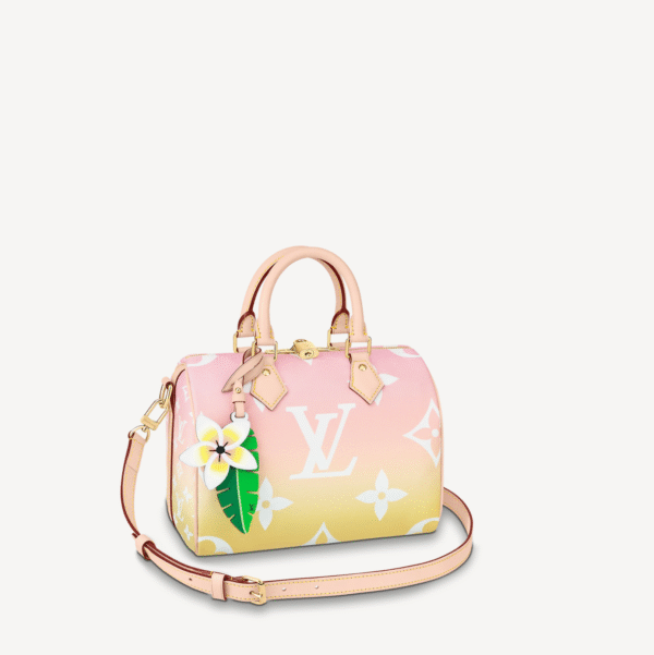 Louis Vuitton Speedy Bandouliere 25 M45724 | Luna Bags