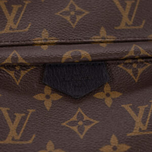 Louis Vuitton Palm Spring PM | Luna Bags