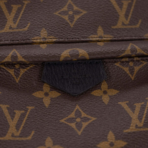 Louis Vuitton Palm Spring PM | Luna Bags