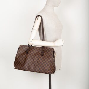 LOUIS VUITTON Chelsea Bag Damier Ebene | Luna Bags