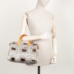 LOUIS VUITTON Speedy 30 Yayoi Kusama 2012 | Luna Bags