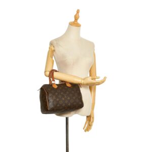 LOUIS VUITTON Monogram Speedy 25 Brown | Luna Bags