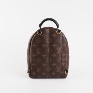 Louis Vuitton Palm Spring Mini Monogram | Luna Bags