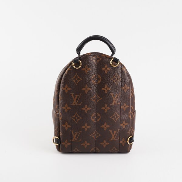 Louis Vuitton Palm Spring Mini Monogram | Luna Bags