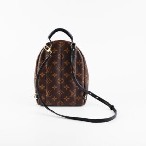 Louis Vuitton Palm Spring Mini Monogram | Luna Bags