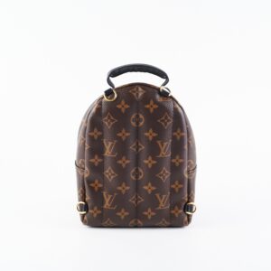 Louis Vuitton Palm Spring Mini Monogram | Luna Bags
