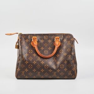 Louis Vuitton Speedy 30 Monogram | Luna Bags