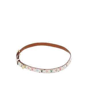 LOUIS VUITTON Belt in Multicolor Leather | Luna Bags