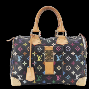LOUIS VUITTON SPEEDY 30 (M92642) MULTICOLOR MONOGRAM CANVAS NO DUST COVER | Luna Bags