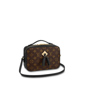 Louis Vuitton Saintonge Monogram Noir | Luna Bags