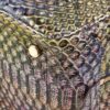 Louis Vuitton Python Neo Square Bag | Luna Bags - Image 5