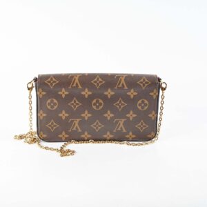 Louis Vuitton Felicie Monogram | Luna Bags