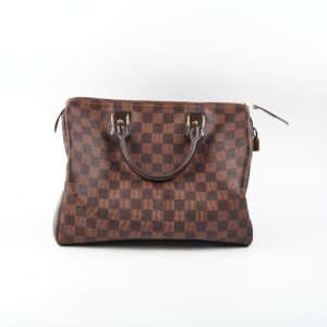 Louis Vuitton Speedy 30 Damier Ebene | Luna Bags