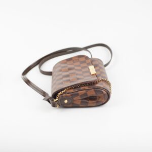 Louis Vuitton Favourite PM Damier Ebene | Luna Bags