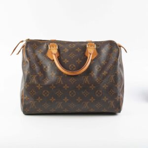 Louis Vuitton Speedy 30 Monogram | Luna Bags