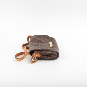 Louis Vuitton Favourite PM Monogram | Luna Bags