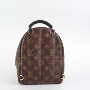 Louis Vuitton Palm Spring Mini Monorgam | Luna Bags
