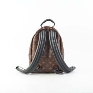 Louis Vuitton Monogram Palm Springs PM BackPack | Luna Bags