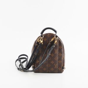 Louis Vuitton Palm Springs Mini Monogram Backpack | Luna Bags