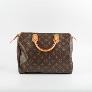 Louis Vuitton Speedy 30 Monogram | Luna Bags