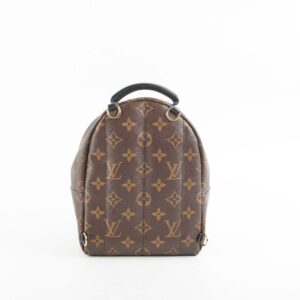 Louis Vuitton Palm Spring Mini Monogram | Luna Bags