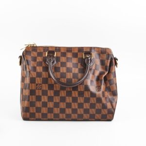 Louis Vuitton Speedy 25 Damier Ebene | Luna Bags